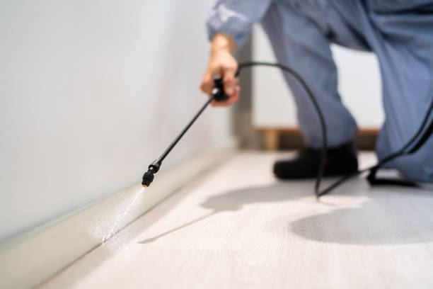Licensed Termite Control service in Hazel Park, MI - Nex Pest Control