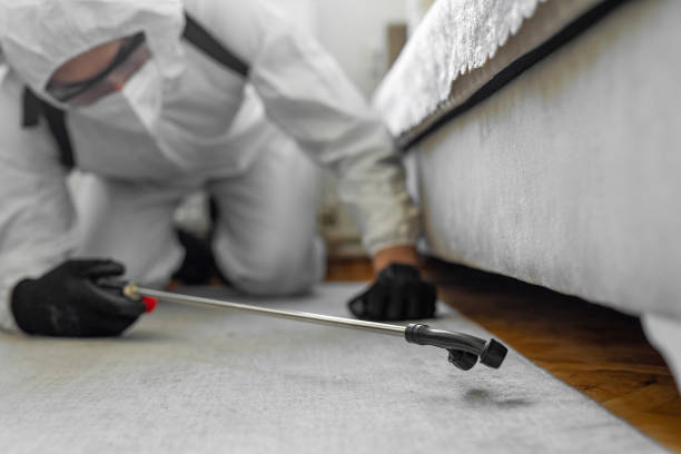 Professional Termite Control technician working in Hazel Park, MI