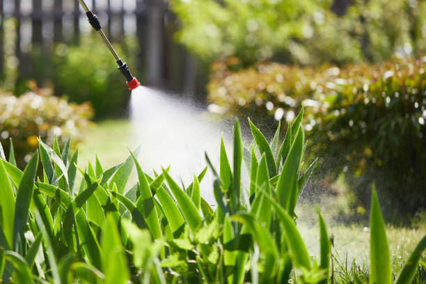 24/7 Emergency Termite Control experts in Hazel Park, MI