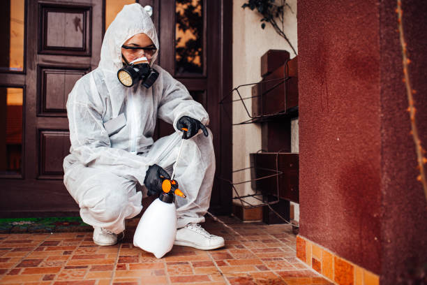 Reliable Termite Control contractor in Hazel Park, MI by Nex Pest Control