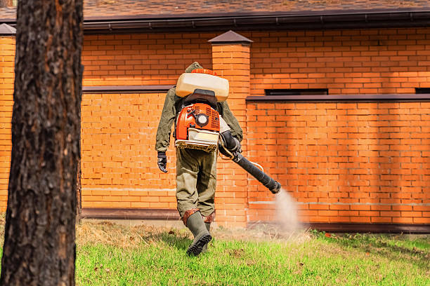 Top rated local Termite Control specialists in Hazel Park, MI